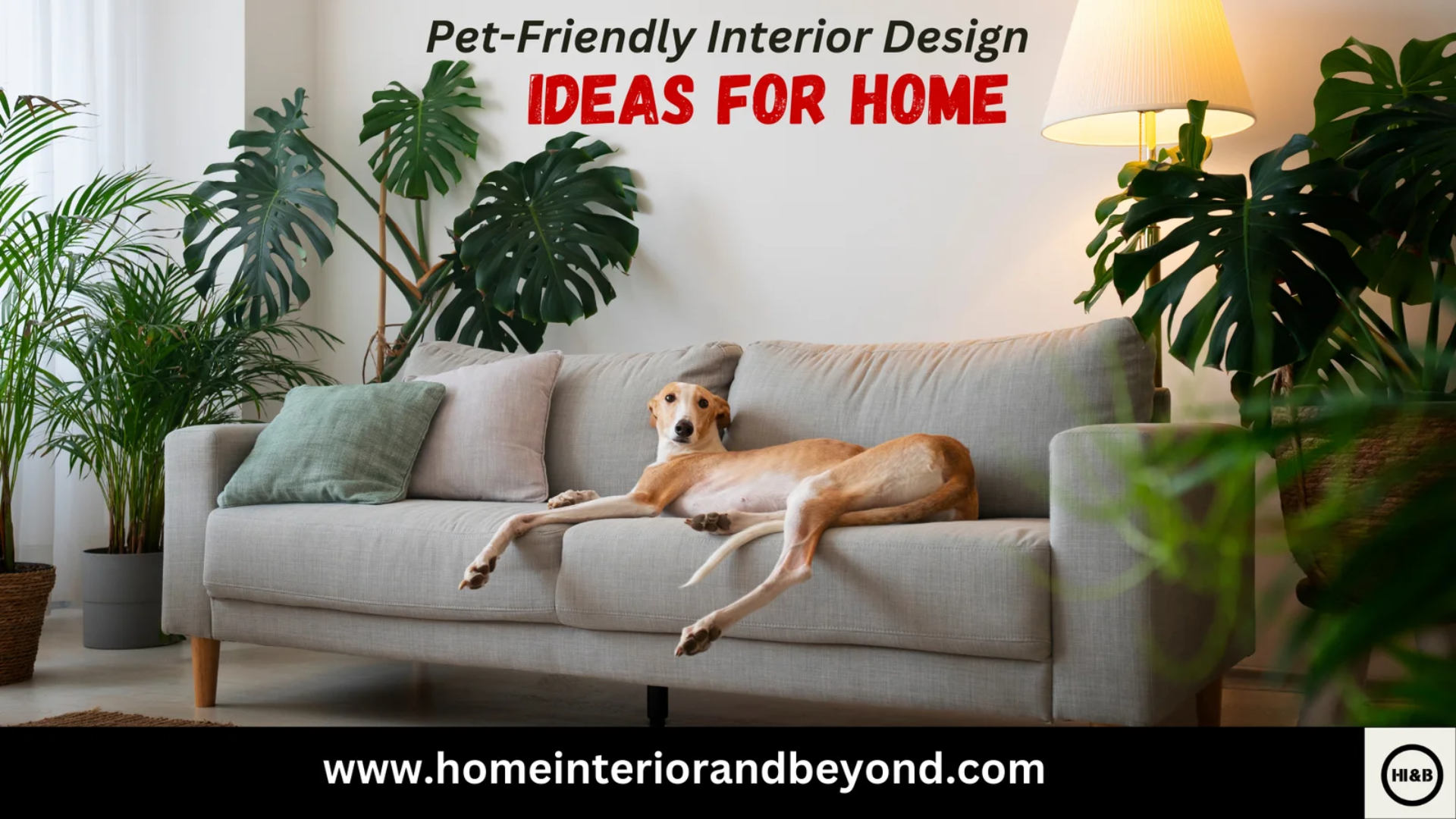 You are currently viewing Pet-Friendly Interior Design Ideas for Home